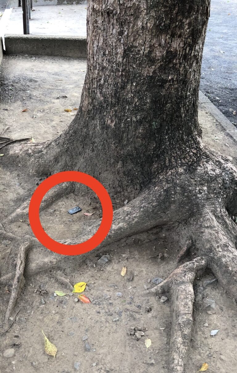 a found object highlighted in a red circle